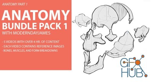 James Douglas (moderndayjames) – Anatomy Bundle Pack 1