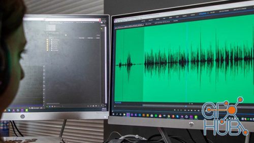 Lynda – Premiere Pro Guru: Audio Workflow and the Essential Sound Panel