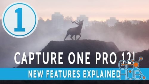 Capture One Pro 12.1.0.106 (x64) Multilingual