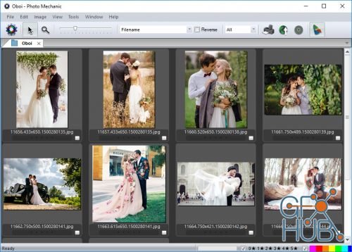 Camera Bits Photo Mechanic 6.0 Build 3285 (x64)