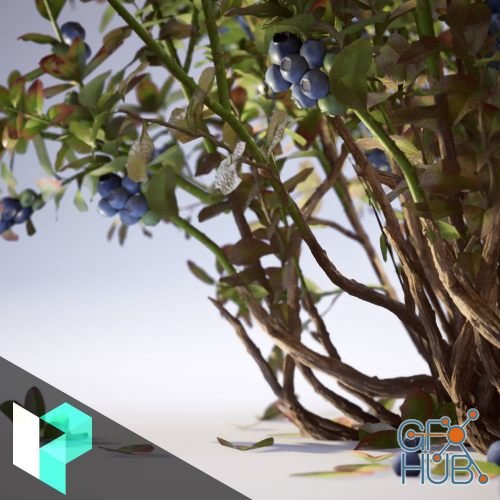 Gumroad – Creating Game-Ready Vegetation Patrick Gladys