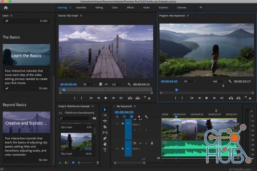 Adobe Premiere Pro CC 2019 v13.1.3.42 Win x64