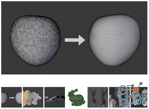 Blender Market – DynRemesh 2.5 – Quad-remesher/Auto-retopology Toolset