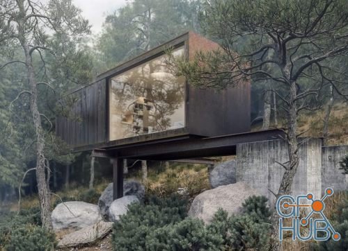 Itoo Software Forest Pack Pro v6.2.1 for 3ds Max 2020 Win x64