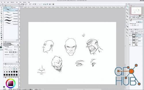 Patreon – Patrick Brown – Drawing Heads/Expressions