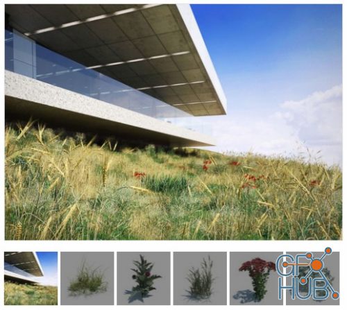 Evermotion – Archmodels vol. 124 (FULL) – Grass and Small Plants
