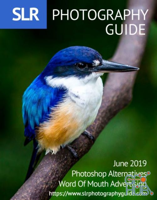 SLR Photography Guide – June 2019 (PDF)