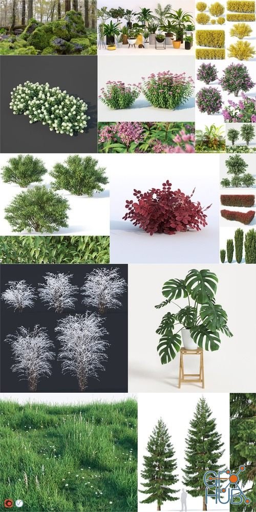 CGTrader – Plants 3D-Models Collection July 2019