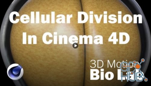 Skillshare – Cellular Division in Cinema 4D