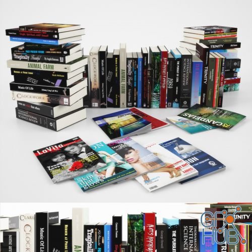 Large set of books and magazines