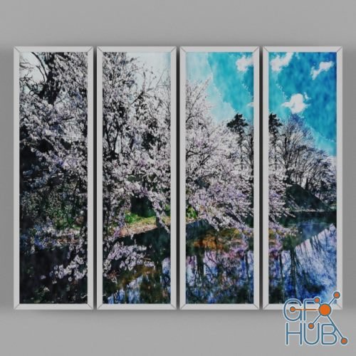 Sakura pictures