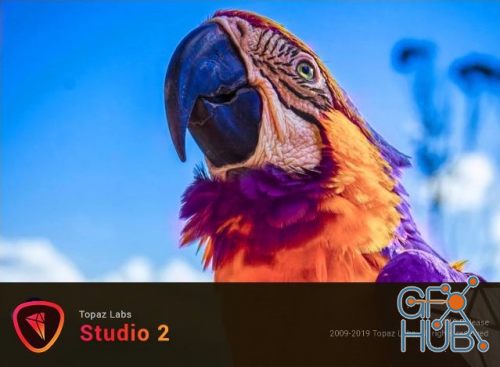 Topaz Studio 2.0.4