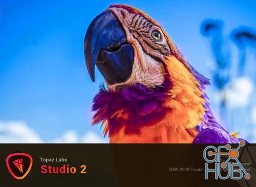 Topaz Studio 2.0.9