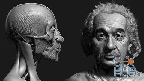 Udemy – Zbrush Facial Anatomy and Likeness Character Sculpting
