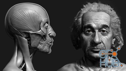 zbrush likeness sculpting