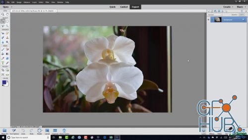 Packt Publishing – Photoshop Elements 2019