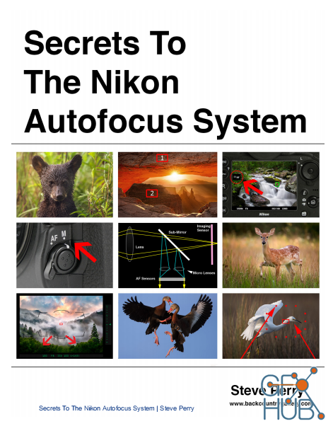 Secrets to the Nikon AF System (PDF)