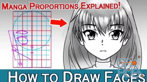 Skillshare – Anime/Manga Faces & the Importance of Proportions.