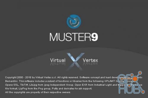 Virtual Vertex Muster 9 v9.0.14 Win x64