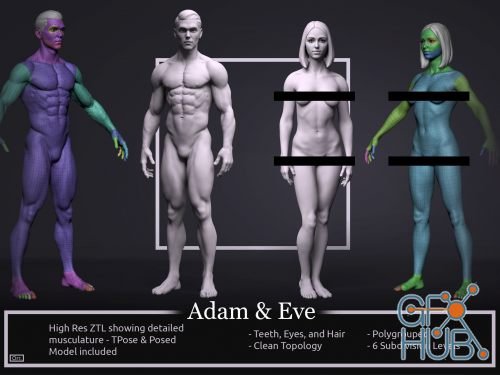 CGTrader – Basemesh Set – Adam and Eve 3D Model Collection