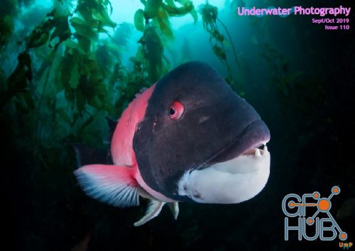 Underwater Photography – September-October 2019 (PDF)