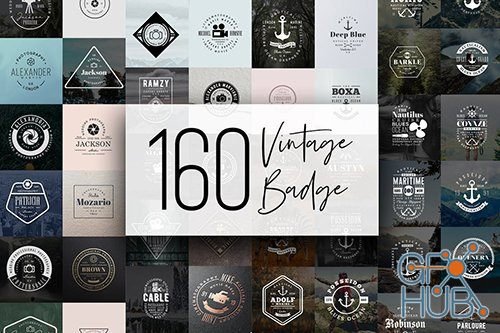 160 Vintage Badge (EPS)