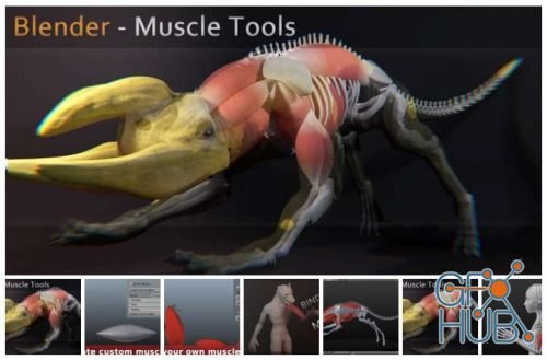 Blender Market – Blender Muscle Tools 1.4 X 1.5 For 2.8