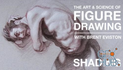 Skillshare – The Art & Science of Figure Drawing: Shading