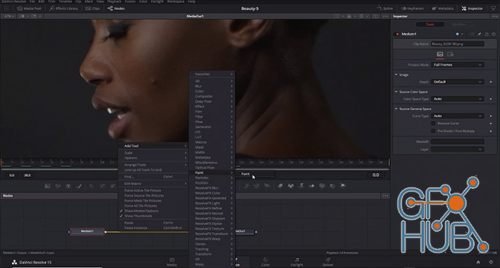 Lowepost – Beauty Retouching in DaVinci Resolve Fusion