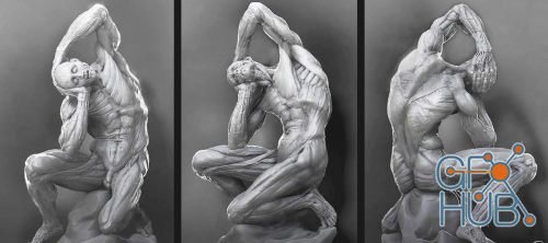 CGMaster Academy – Anatomy for Production