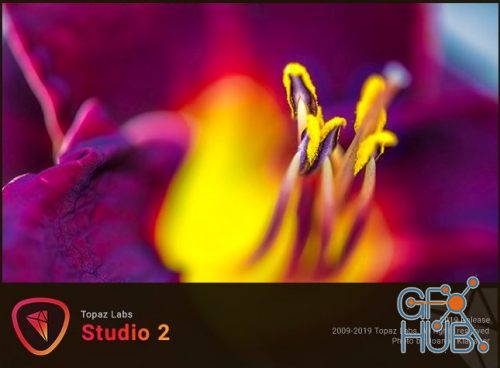 Topaz Studio 2.1.1 Win x64