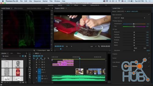 Skillshare – Video Editing using Adobe Premiere Pro: For beginners