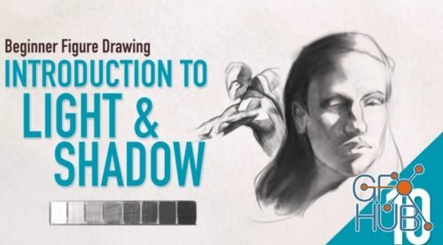 Skillshare – Beginner Figure Drawing – Introduction to Light and Shadow