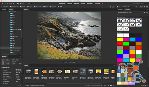 Adobe Bridge 2020 v10.0.0.124 Win x64