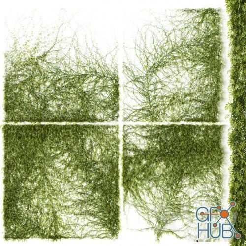 Leaves for walls v3