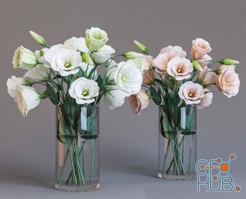 Eustoma (max, fbx)