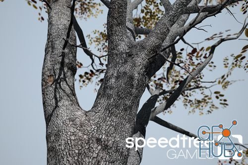 SpeedTree Games Indie 8.4.2 Win x64