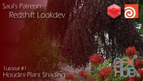 Patreon – Redshift + Houdini Plant Lookdev
