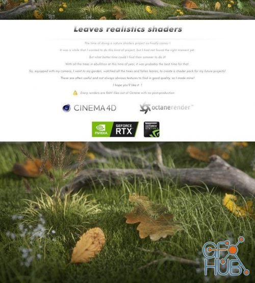 Leaves Shaders Pack #1 for C4D, Octane