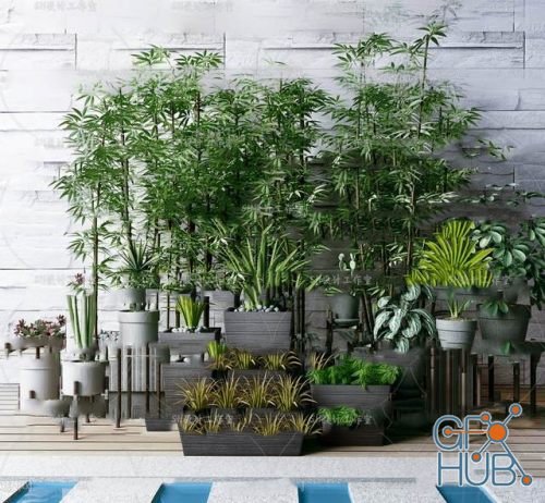 Plant Compilation 24
