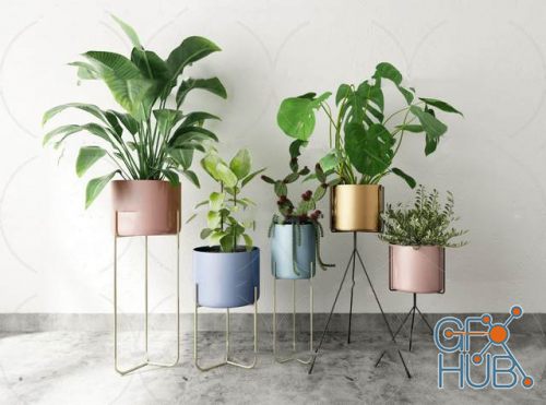 Plant Compilation 95