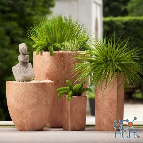 Plant Compilation 100
