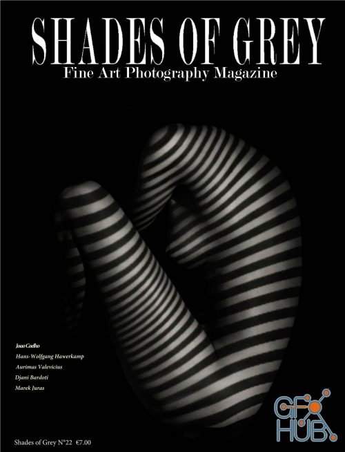 Shades of Grey – No.22 2019 (PDF)