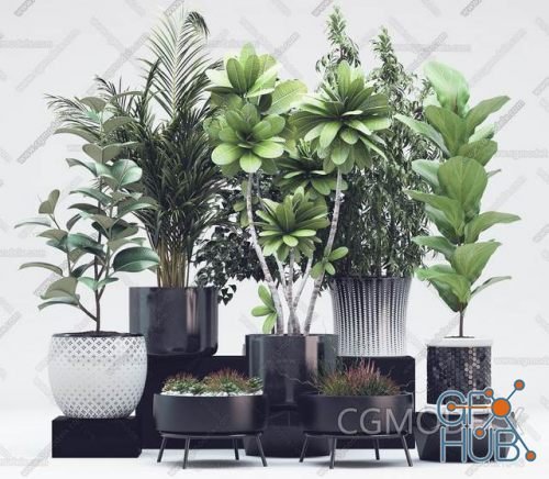 Plant Compilation 03