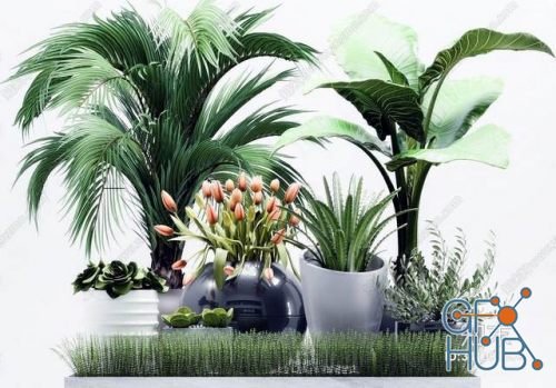 Plant Compilation 07