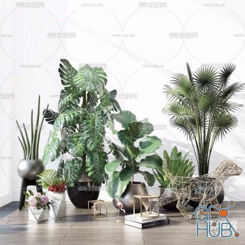 Plant Compilation 08