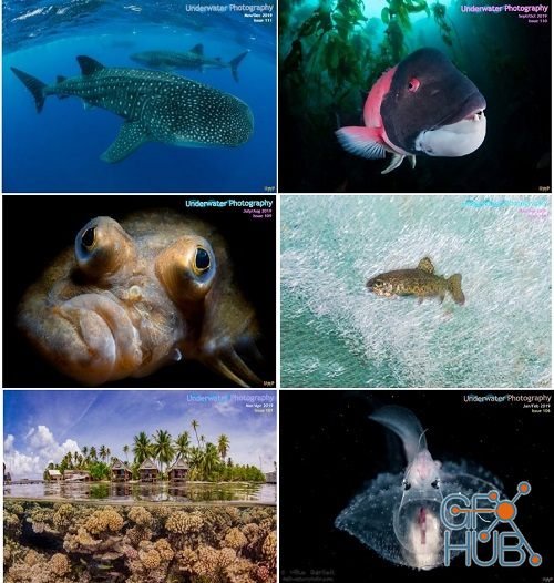 Underwater Photography - 2019 Full Year Issues Collection