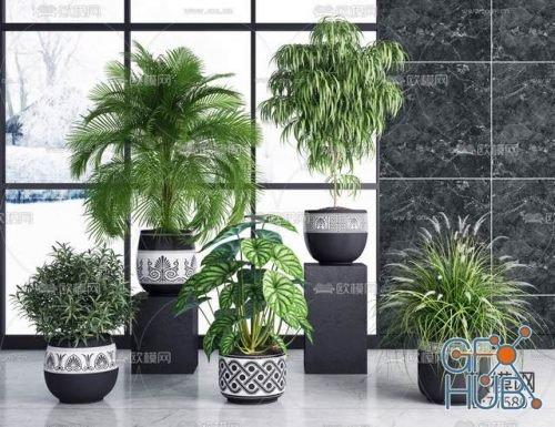 Plant Compilation 12