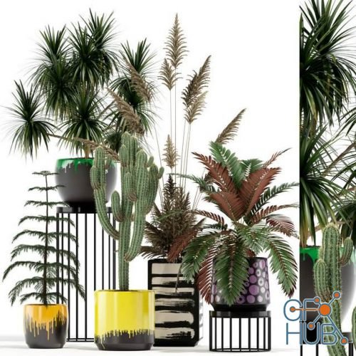 Plant Compilation 15