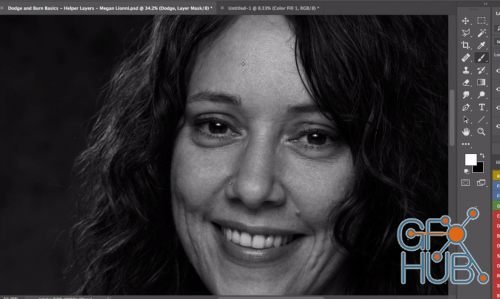 The Portrait Masters – The Retouching Series: Dodge and Burn Basics